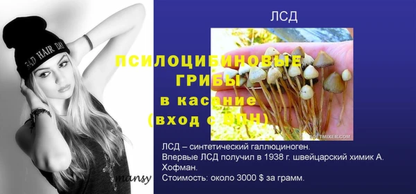 прущая мука Аркадак