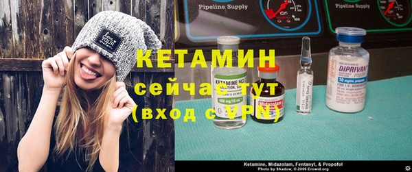 шишки Осташков