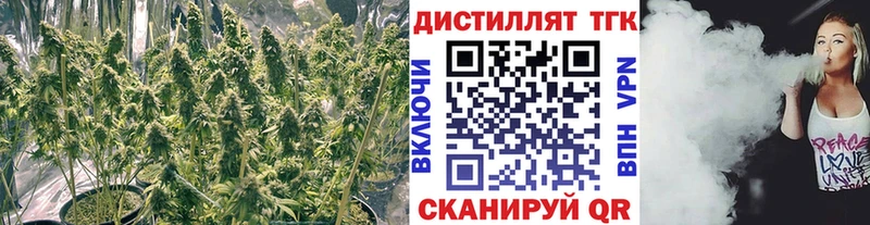 blacksprut tor  Армянск  Дистиллят ТГК концентрат 