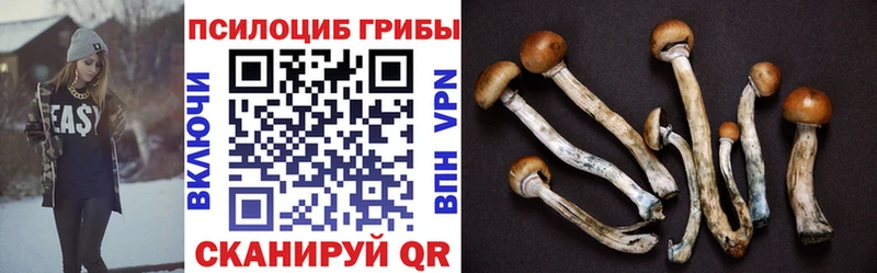 Галлюциногенные грибы Psilocybine cubensis  ОМГ ОМГ ТОР  Армянск  купить наркотик 